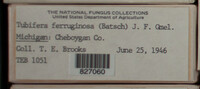 Image Associated With the Occurence